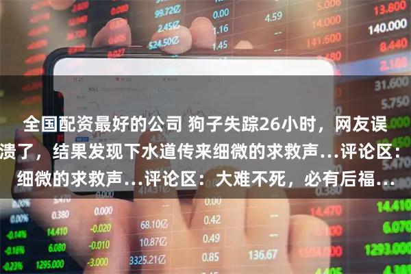 全国配资最好的公司 狗子失踪26小时，网友误以为它上了餐桌快要崩溃了，结果发现下水道传来细微的求救声…评论区：大难不死，必有后福…